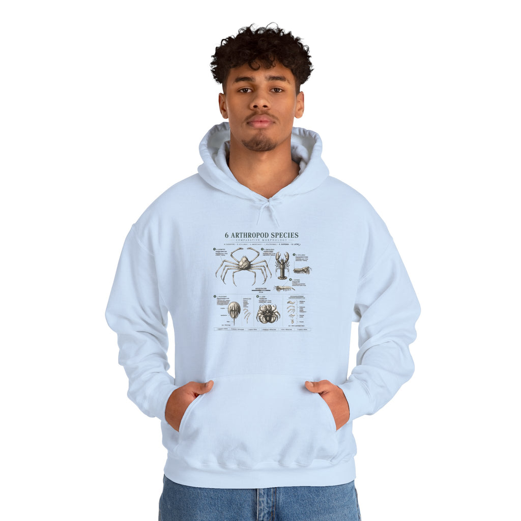 Arthropod Species Hoodie – Vintage Scientific Diagram Sweatshirt