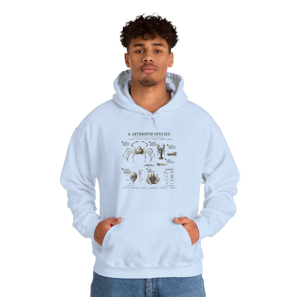 Arthropod Species Hoodie – Vintage Scientific Diagram Sweatshirt