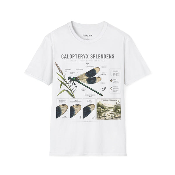 Calopteryx Splendens Anatomy T-Shirt