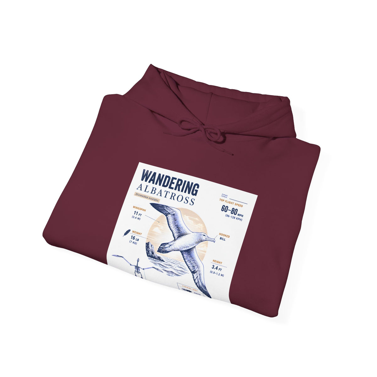 Wandering Albatross Hoodie — Illustrated Sea Bird Anatomy Pullover