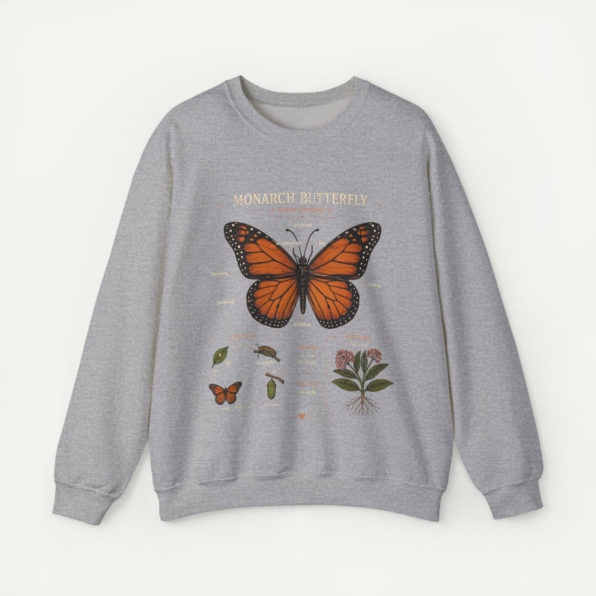 Monarch Butterfly Anatomy Sweatshirt