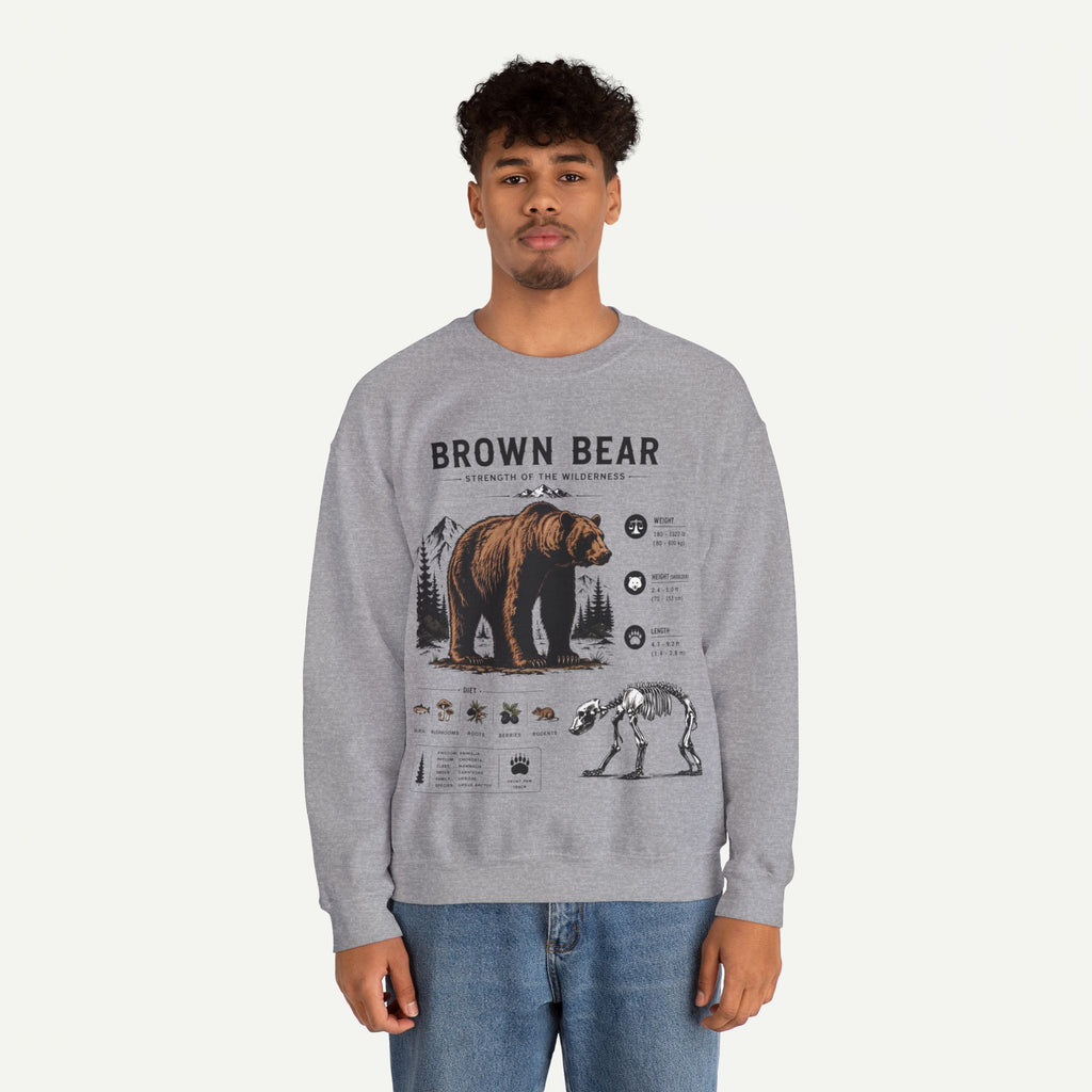 Brown Bear Anatomy Sweatshirt — Wildlife Illustration Graphic Sweatshirt
