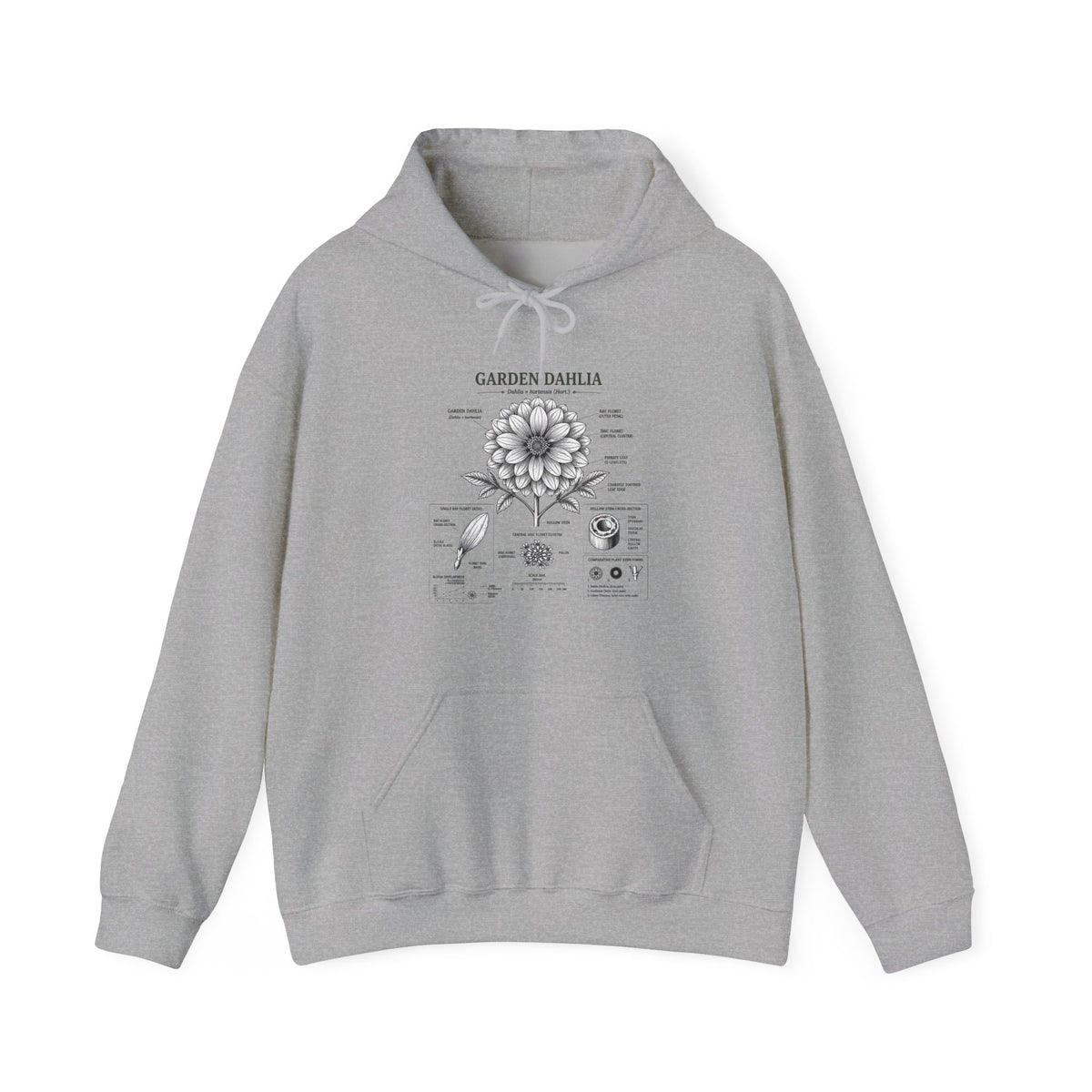 Dahlia Botanical Hoodie — Vintage Garden Diagram Sweatshirt