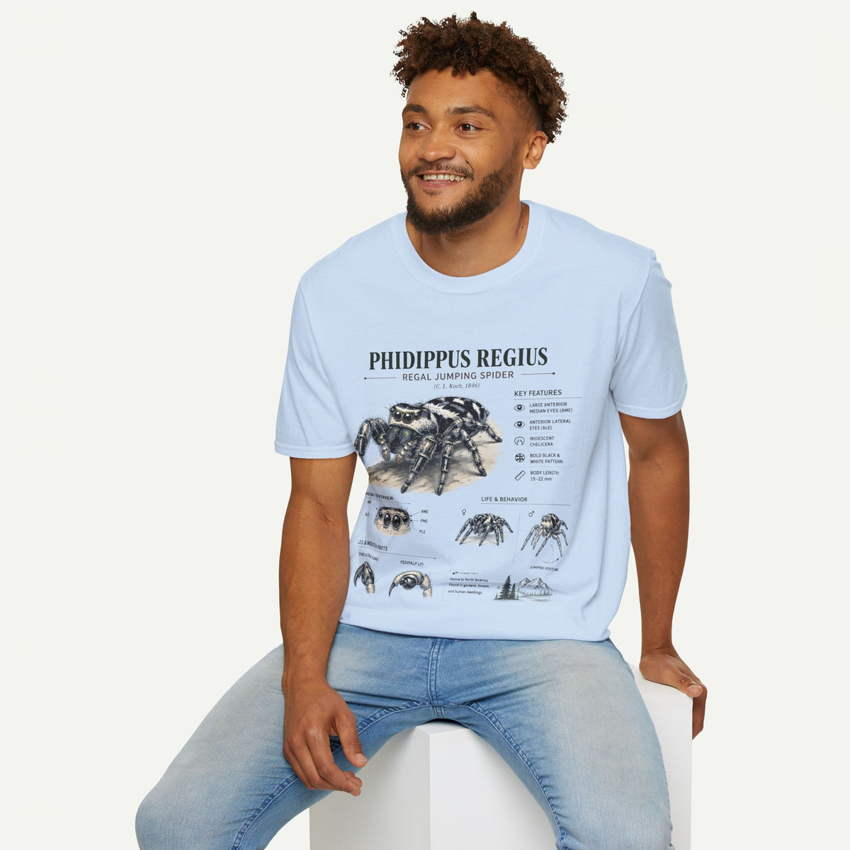 Phidippus Regius Jumping Spider Anatomy T-Shirt — Educational Arachnid Tee
