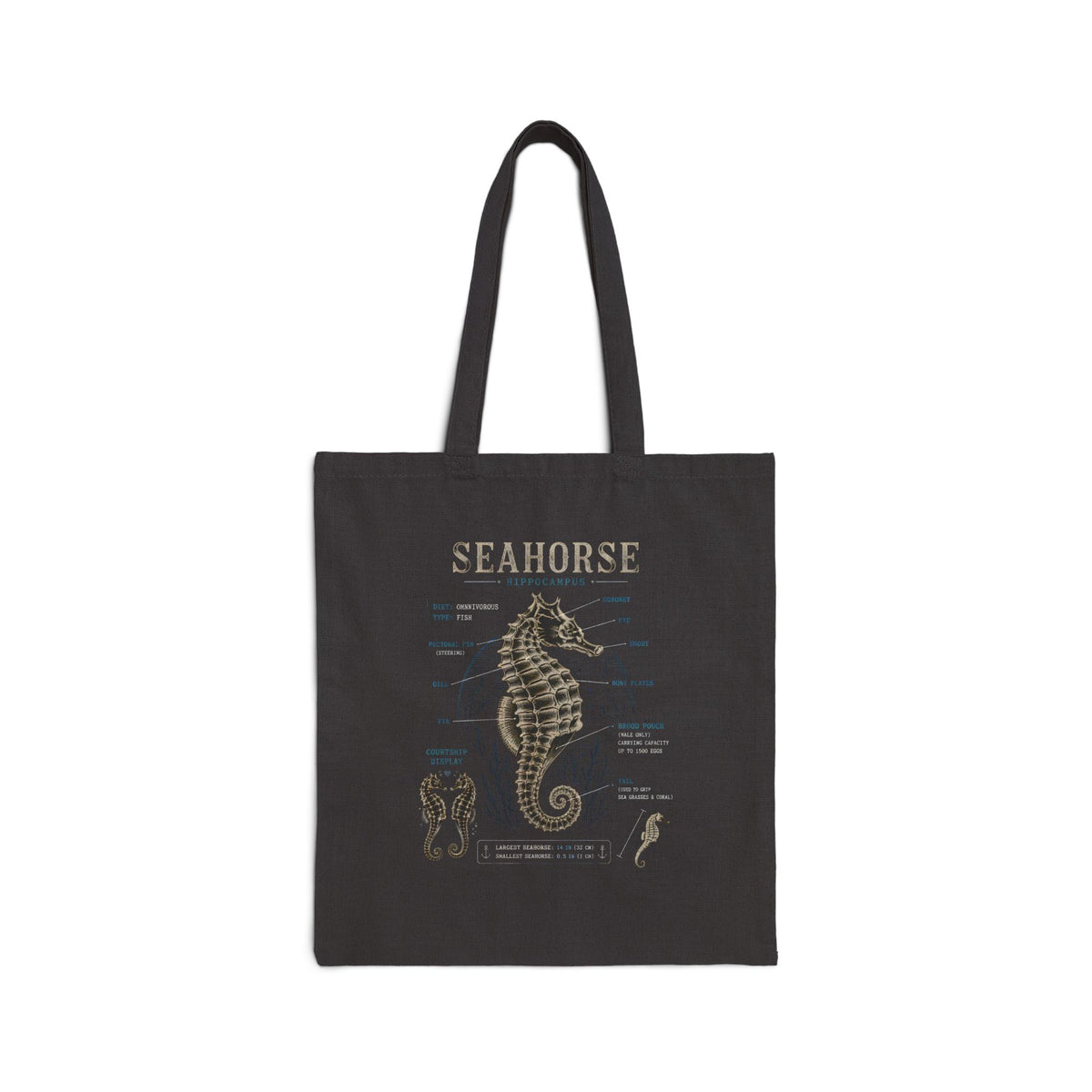 Seahorse Anatomy  Vintage Marine Biology Tote Bag