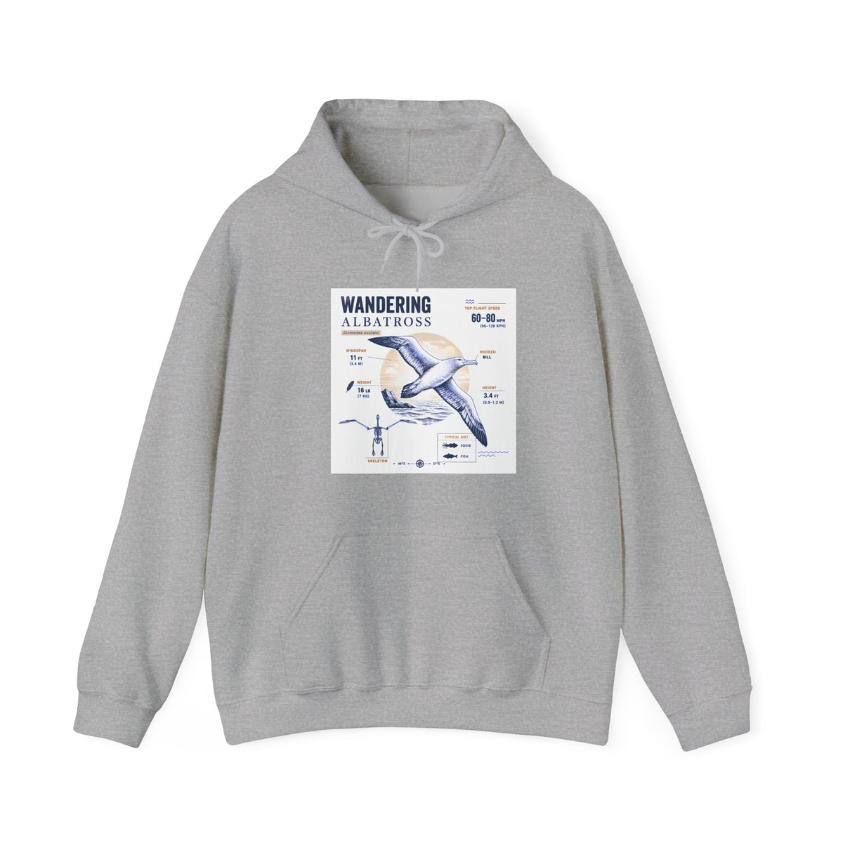 Wandering Albatross Hoodie — Illustrated Sea Bird Anatomy Pullover
