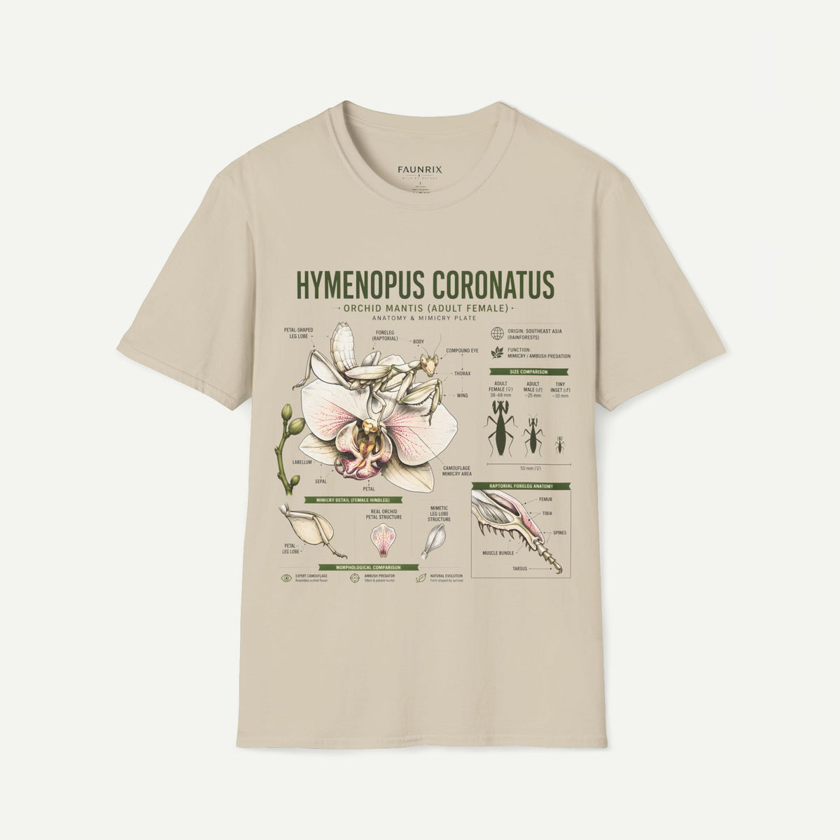 Mantis Anatomy Tee — Hymenopus Coronatus Orchid Mantis Illustration