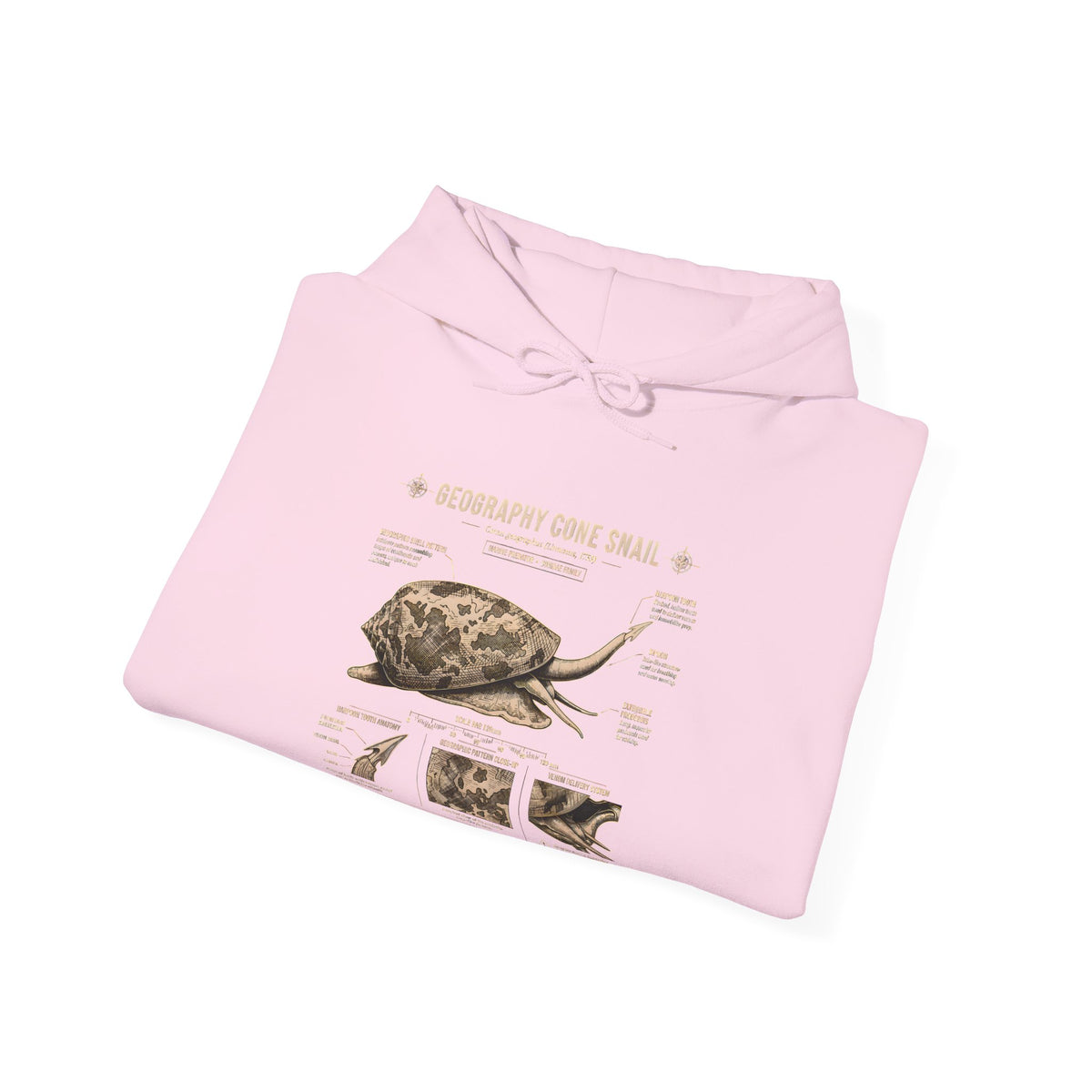 Turtle Anatomy Hoodie — Vintage Sea Turtle Illustration, "Be Different, Embrace Your Shell" Sweatshirt