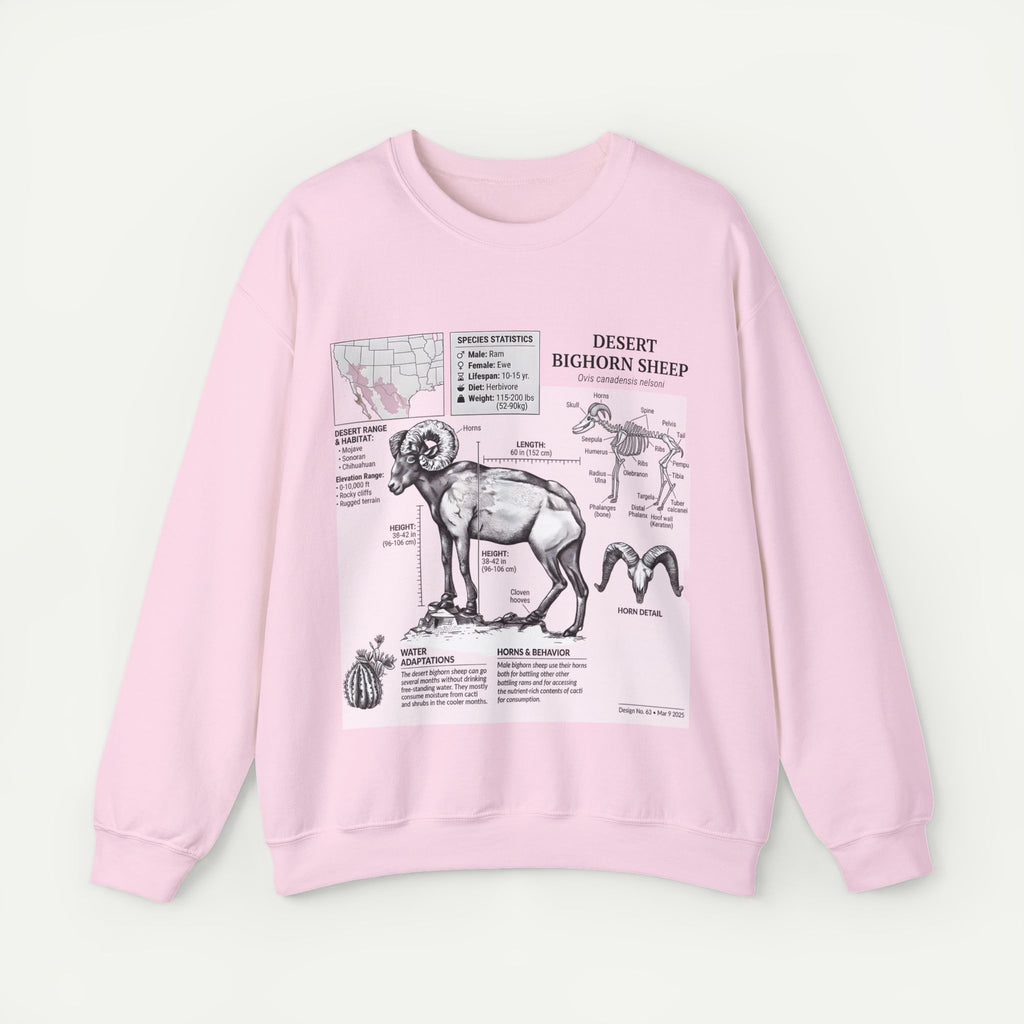 Desert Bighorn Sheep Anatomy Sweatshirt