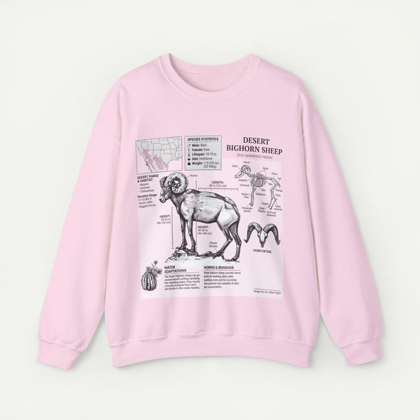 Desert Bighorn Sheep Anatomy Sweatshirt