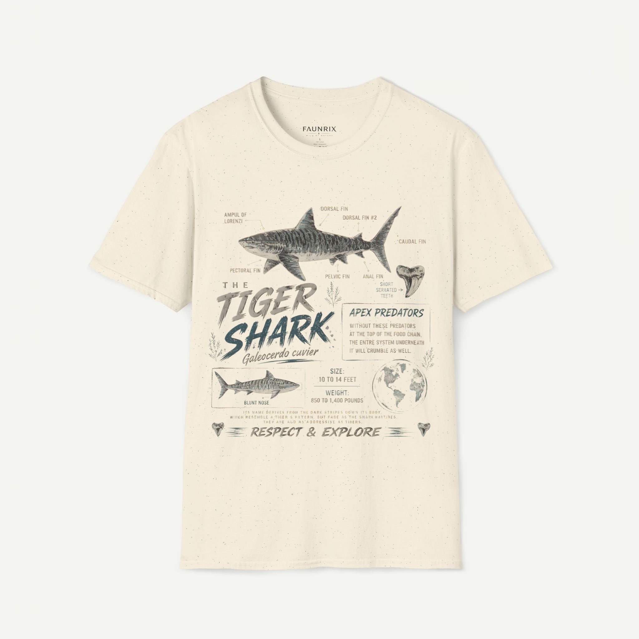Tiger Shark Anatomy Tee — Vintage Apex Predator Graphic T-Shirt Secondary image