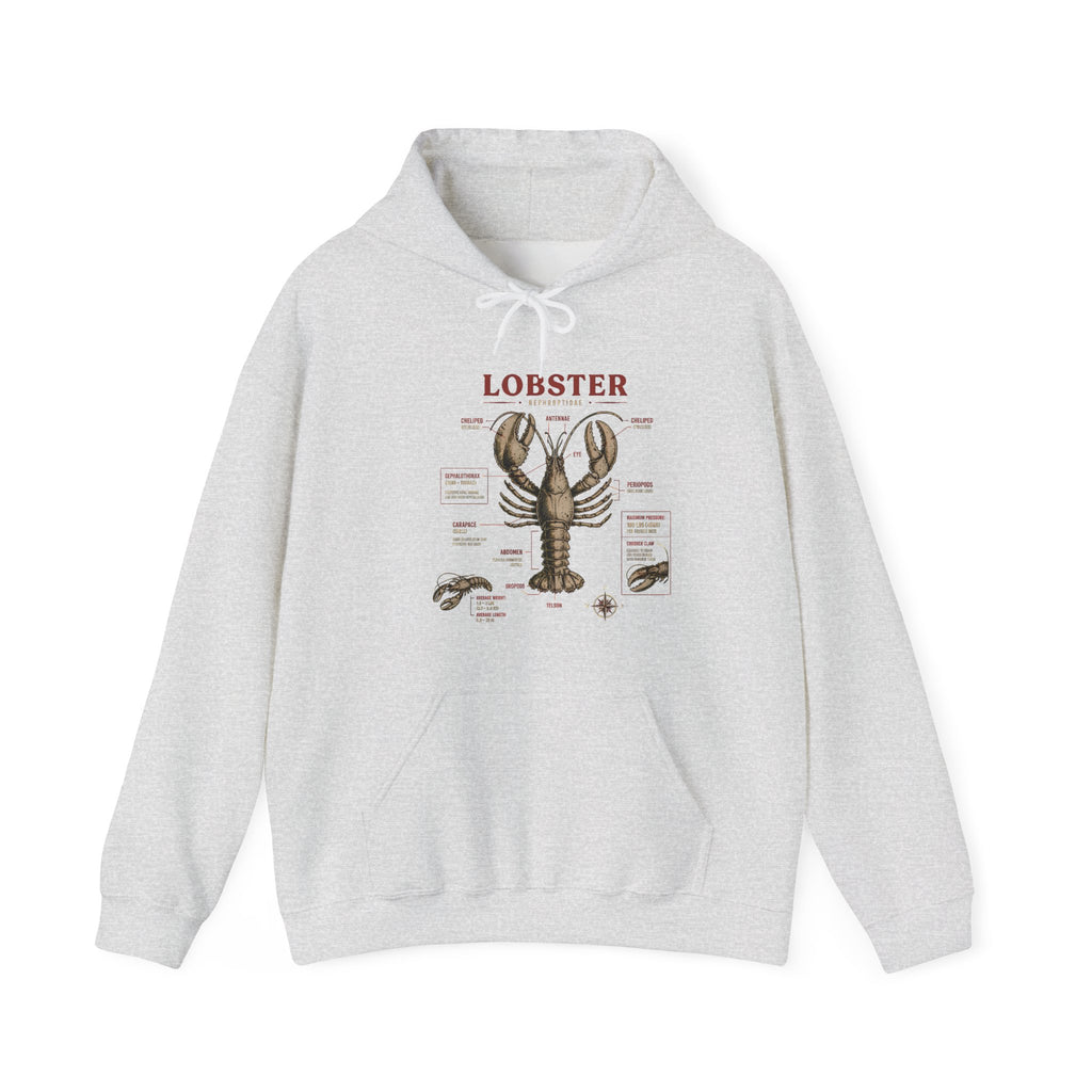 Lobster Anatomy Hoodie – Nautical Seafood Illustration Pullover