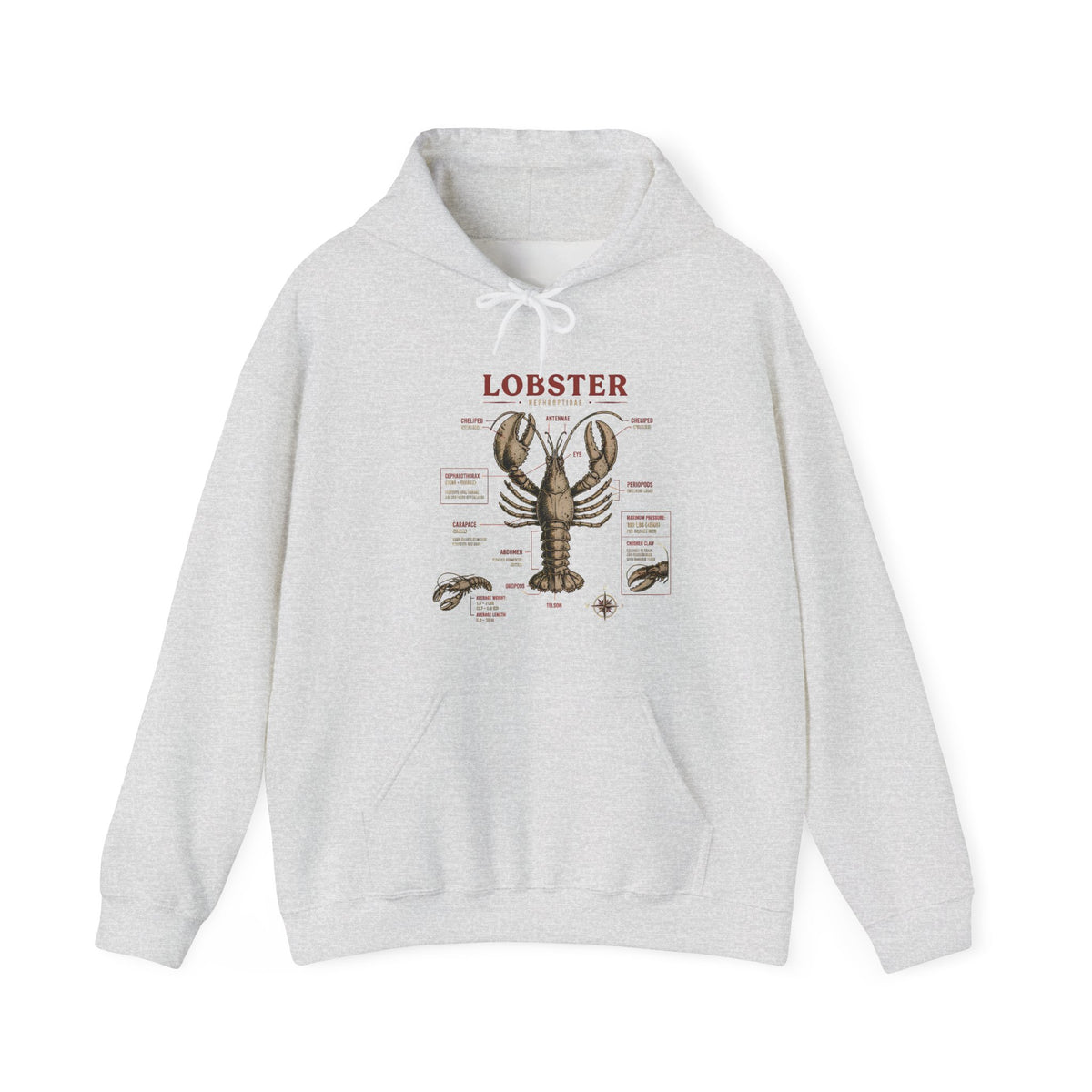 Lobster Anatomy Hoodie – Nautical Seafood Illustration Pullover