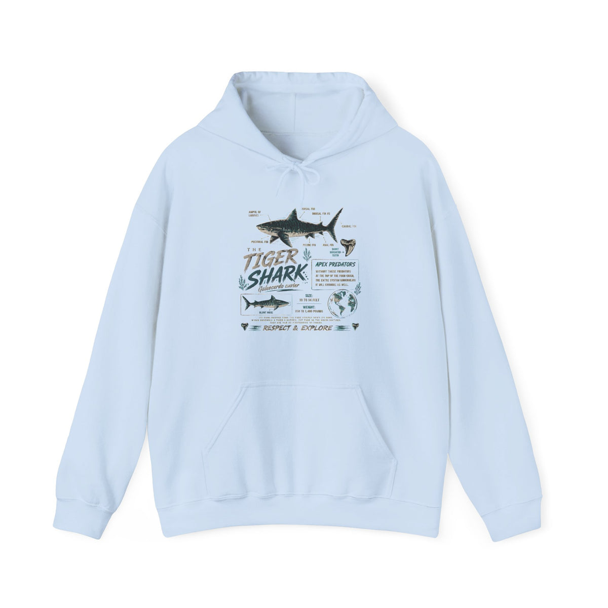 Tiger Shark Illustration Hoodie — Marine Biology Graphic Pullover (Tiger Shark Facts)