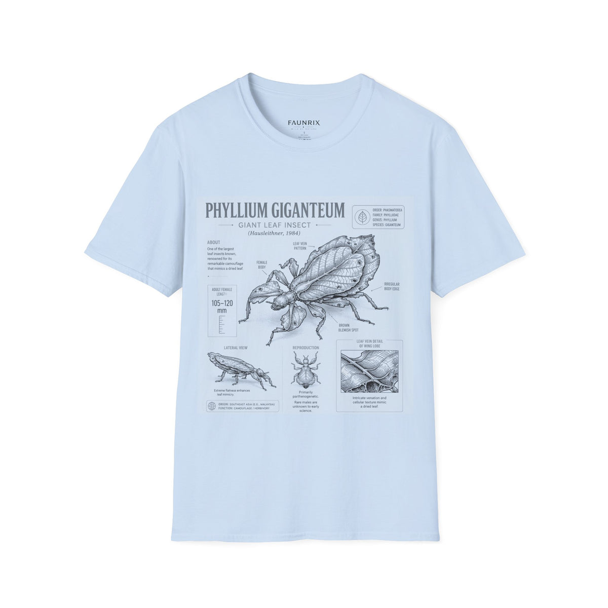 Phyllium Giganteum Anatomy T-Shirt — Botanical Insect Illustration Tee
