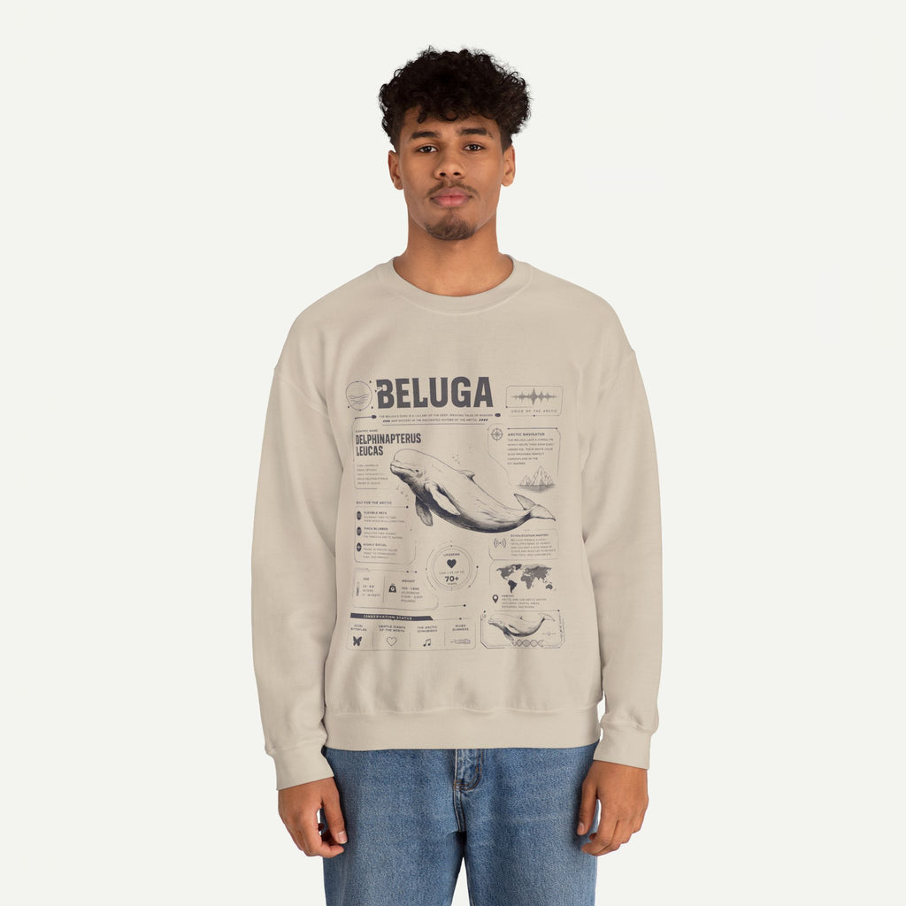 Beluga Whale Anatomy Sweatshirt