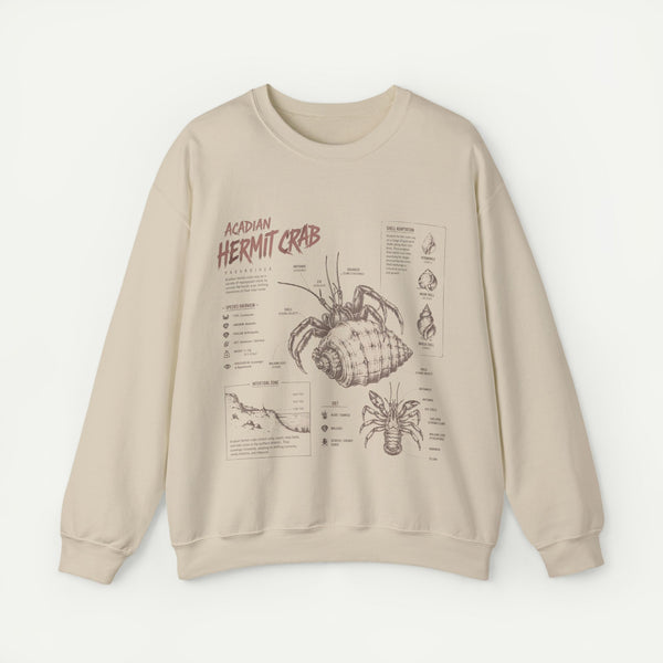 Hermit Crab Anatomy Sweatshirt — Acadian Hermit Crab Illustration