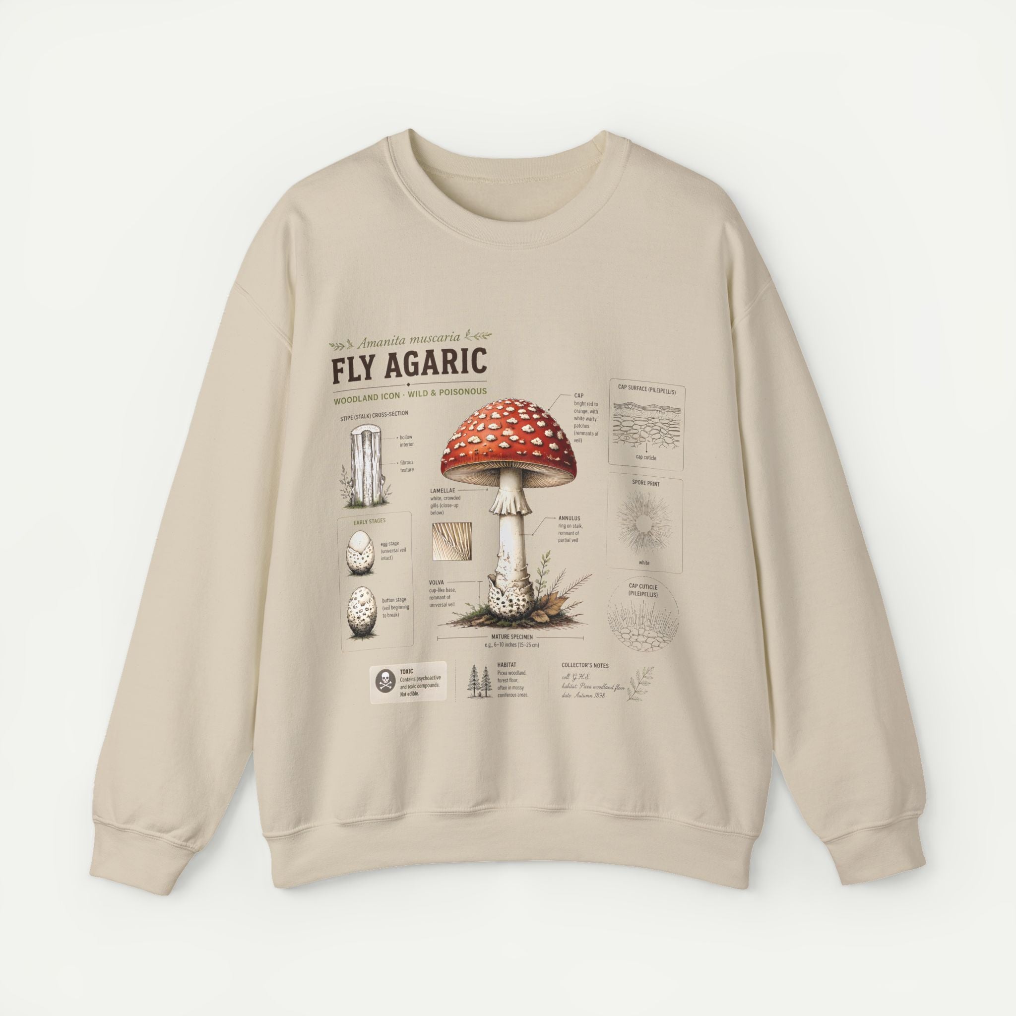 Fly Agaric Mushroom Anatomy Sweatshirt — Botanical Mycology Illustration Crewneck Secondary image
