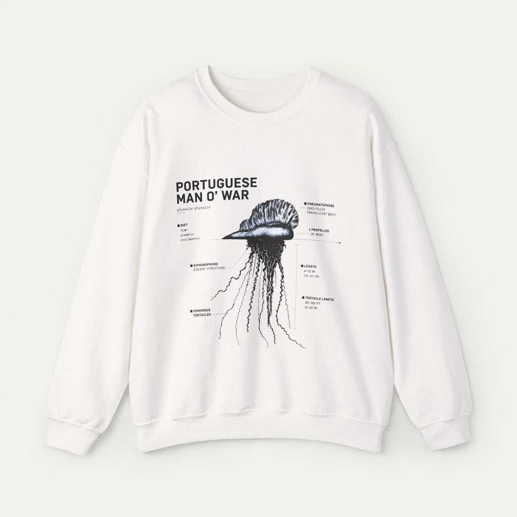 Portuguese Man O' War Anatomy Sweatshirt