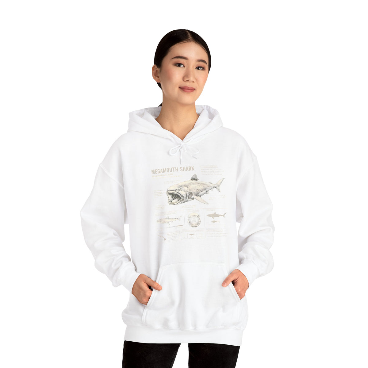 Shark Anatomy Hoodie — Vintage Megalodon Illustration Pullover