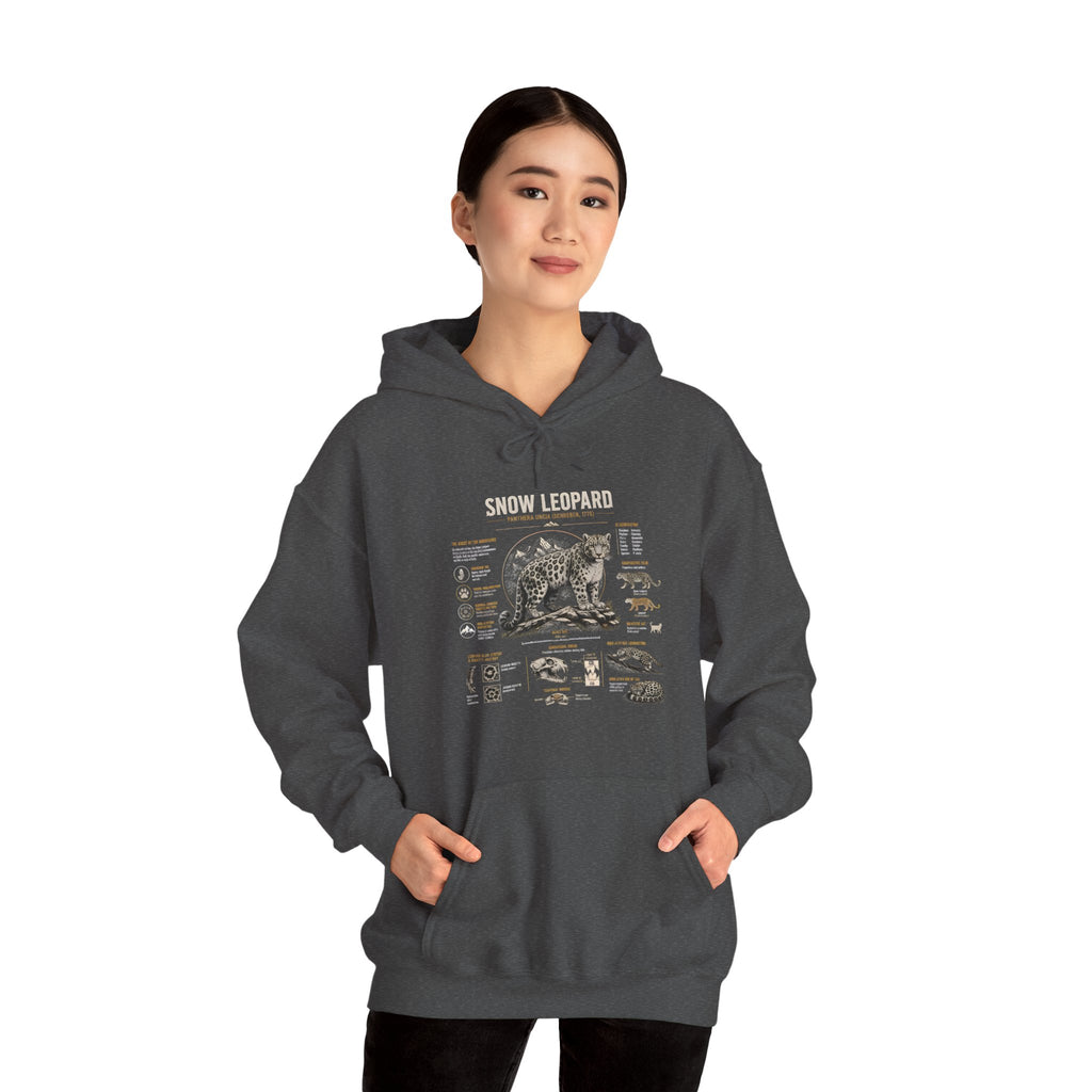 Bear Anatomy Hoodie — Vintage Wildlife Illustration Sweatshirt