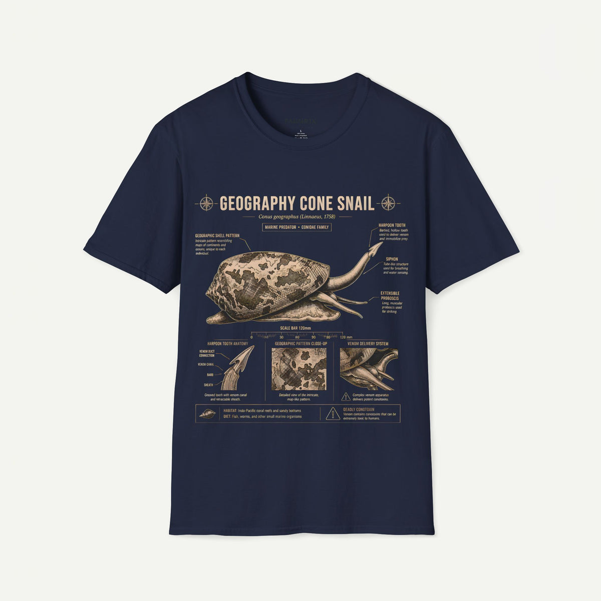 Geography Cone Snail Anatomy T-Shirt — Vintage Scientific Illustration Tee