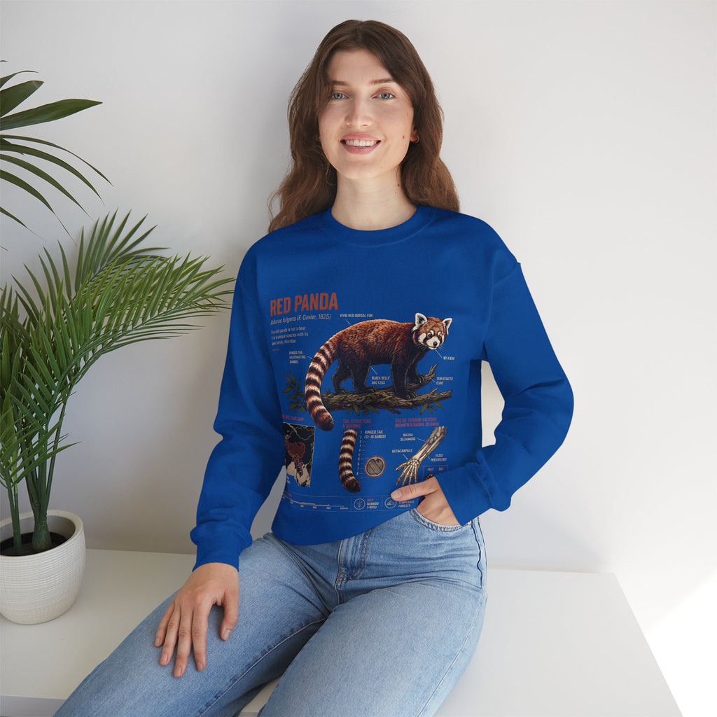Red Panda Anatomy Sweatshirt — Vintage Wildlife Crewneck