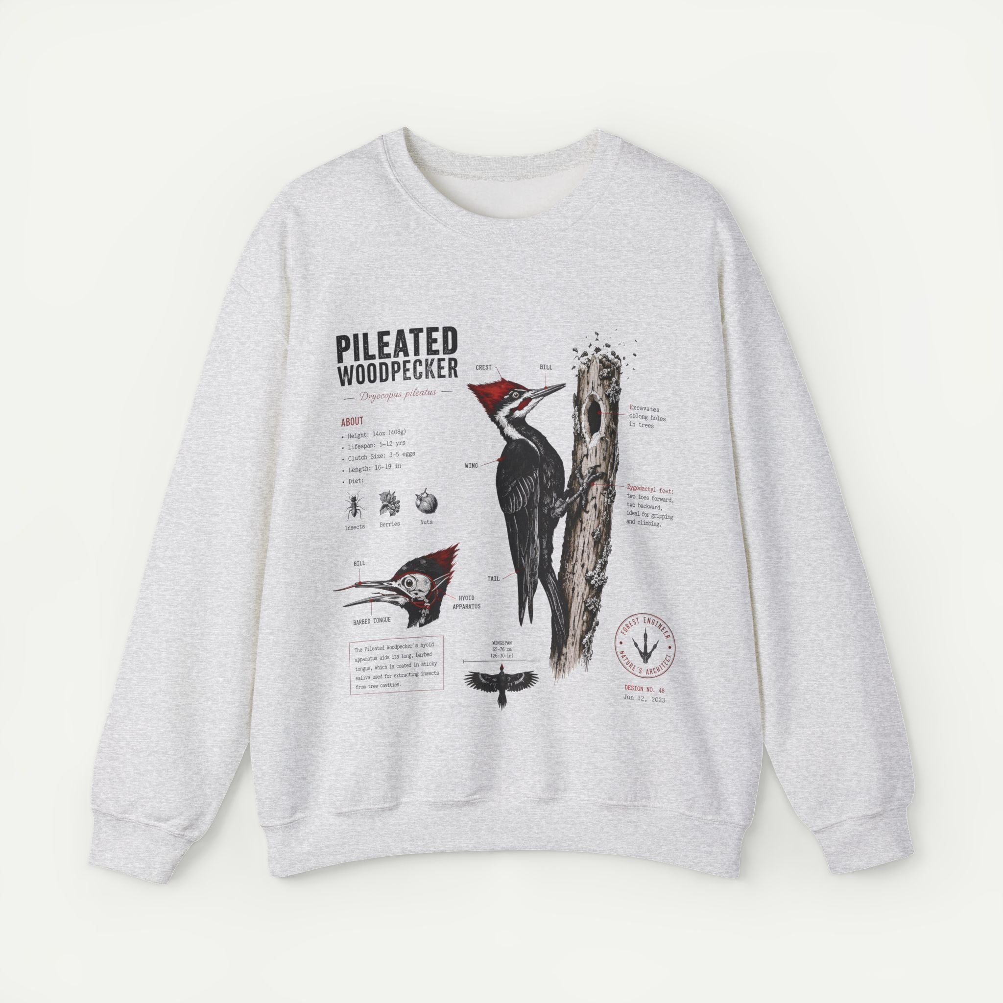 Woodpecker Anatomy Sweatshirt — Pileated Woodpecker Illustration Secondary image