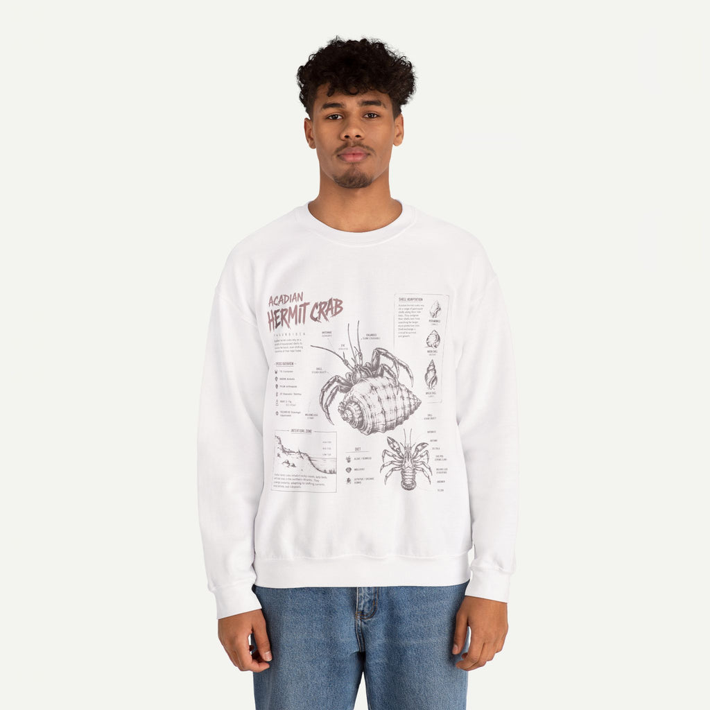 Hermit Crab Anatomy Sweatshirt — Acadian Hermit Crab Illustration