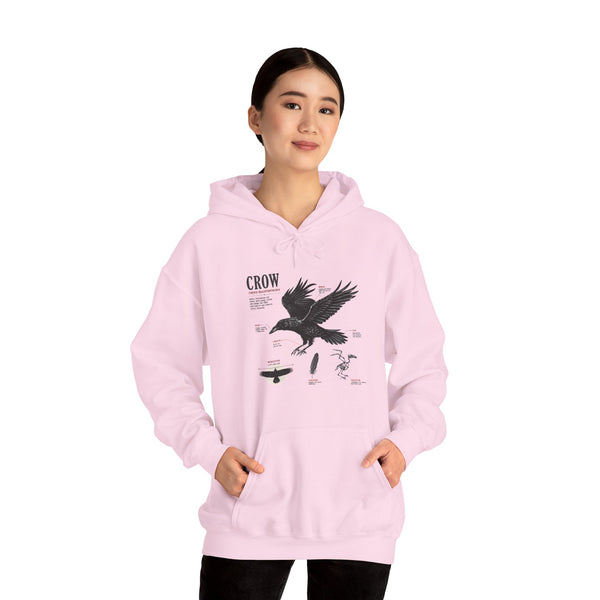 Crow Anatomy Hoodie — Vintage Raven Diagram Hooded Sweatshirt