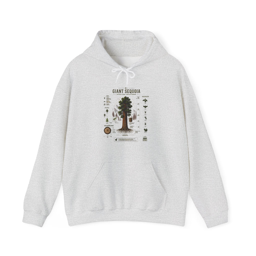 Giant Sequoia Botanical Hoodie — Vintage Tree Illustration & Facts