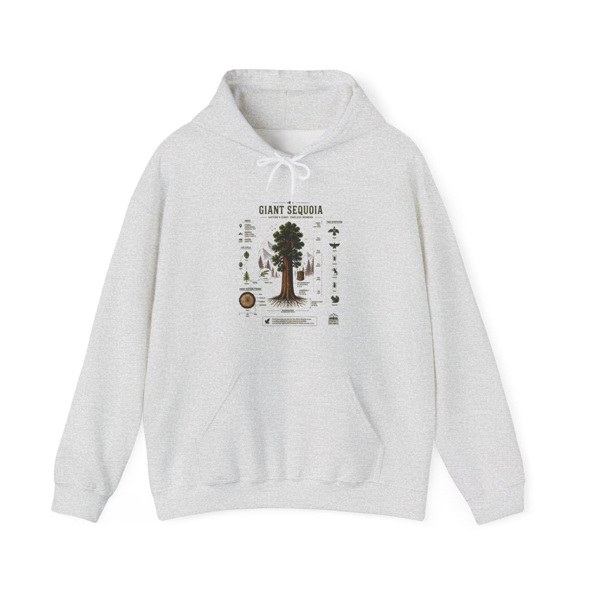 Giant Sequoia Botanical Hoodie — Vintage Tree Illustration & Facts