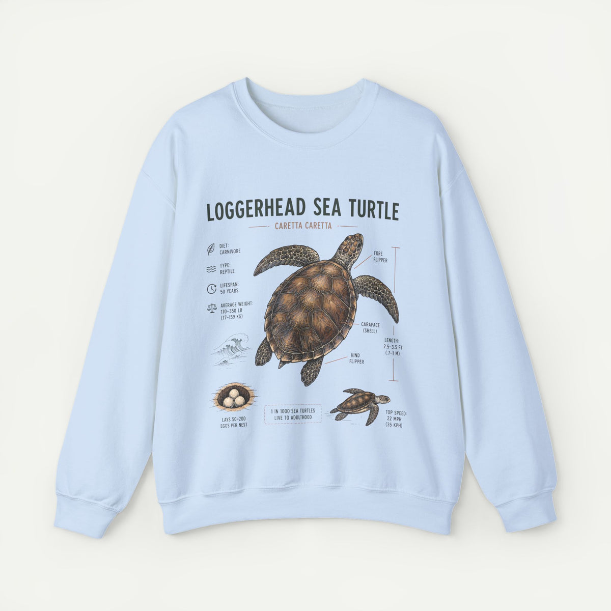 Loggerhead Sea Turtle Anatomy Sweatshirt — Marine Life Educational Crewneck