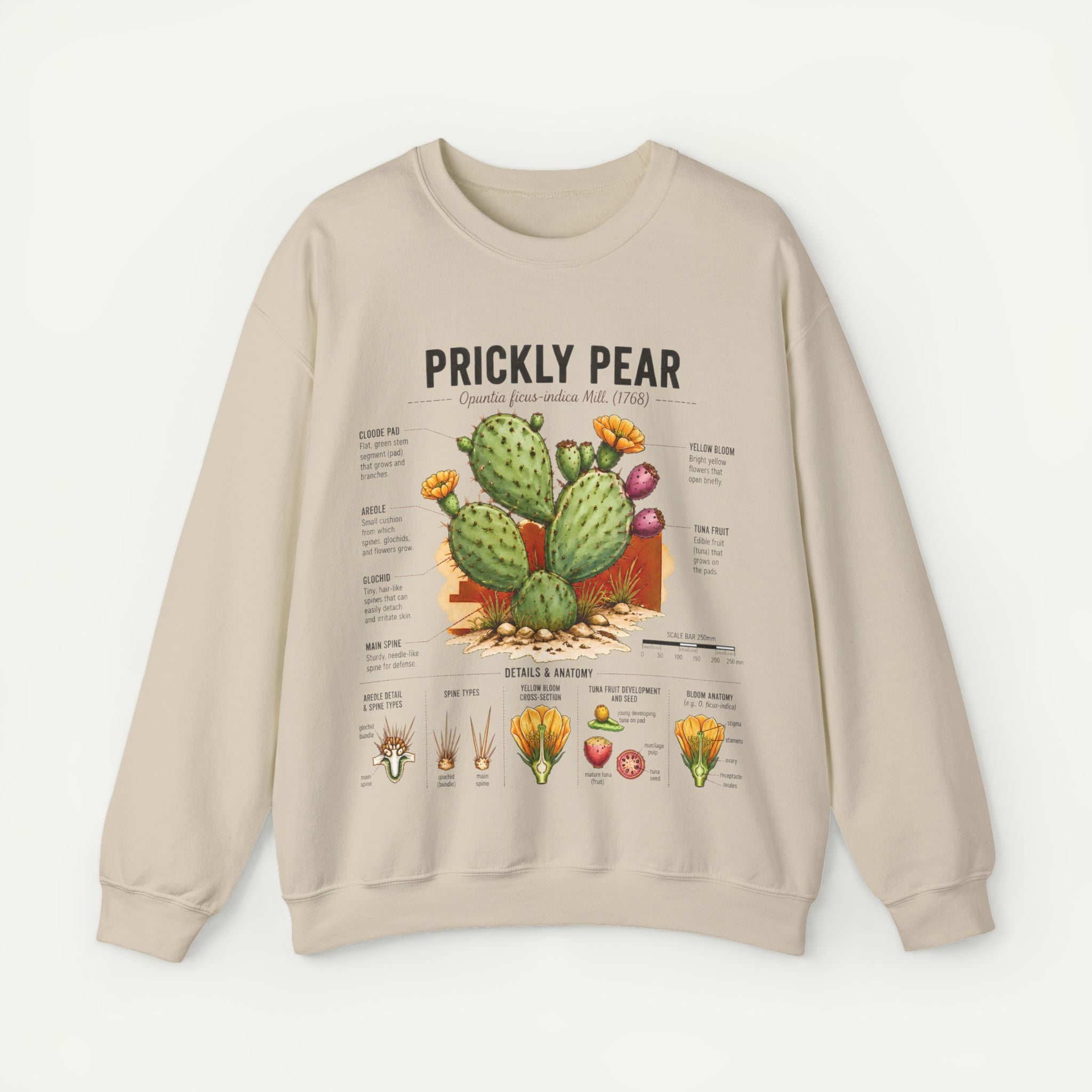 Prickly Pear Botanical Sweatshirt — Cactus Illustration Guide Crewneck Secondary image