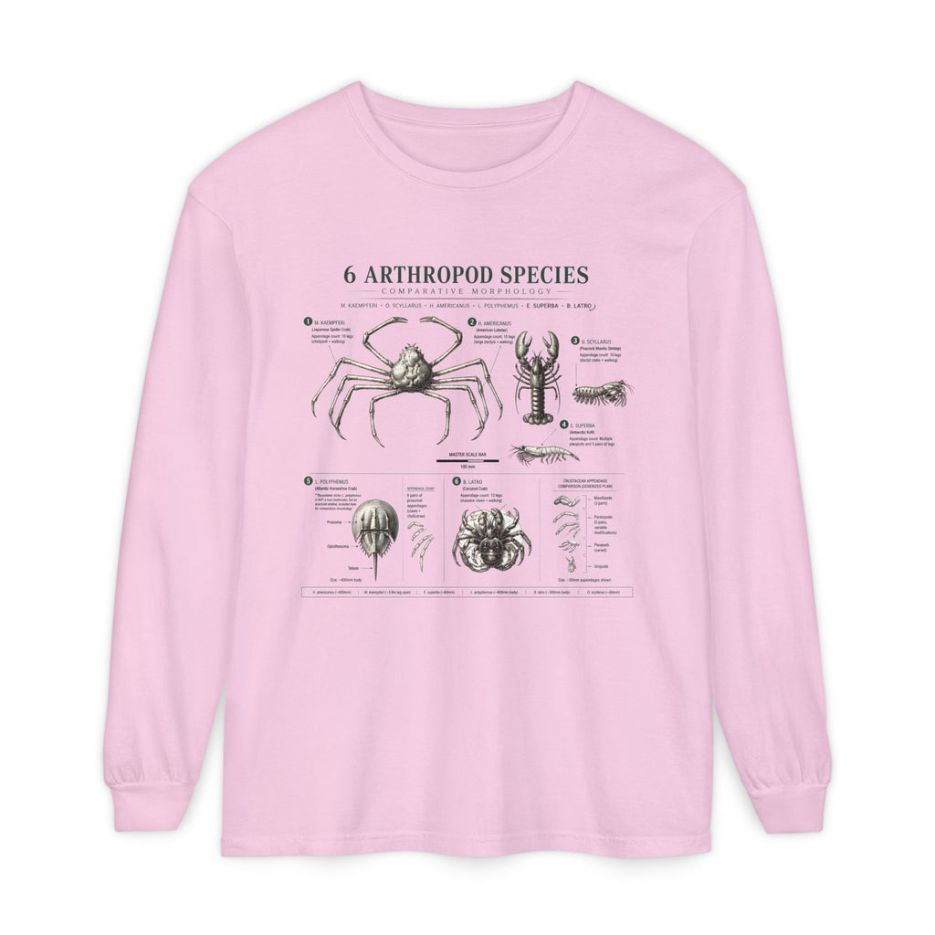 Arthropod Species Chart Long Sleeve Tee — Vintage Scientific Insect Diagram Shirt