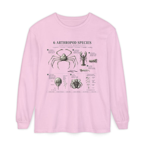 Arthropod Species Chart Long Sleeve Tee — Vintage Scientific Insect Diagram Shirt