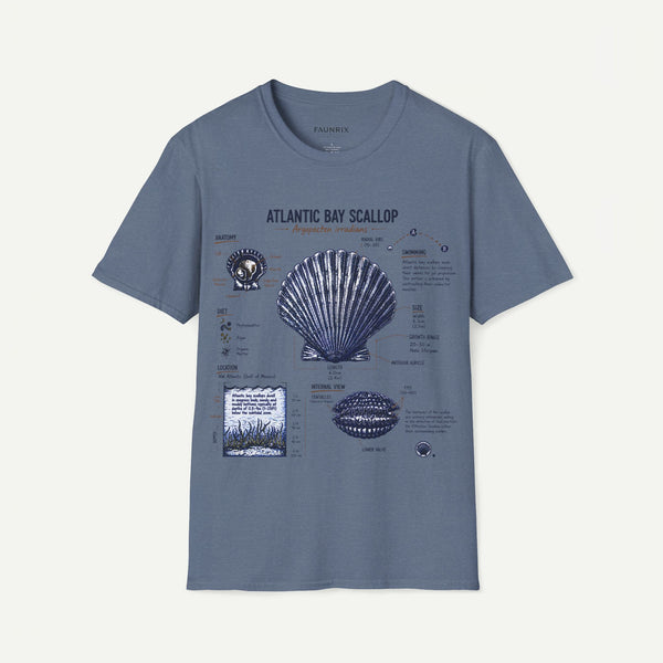 Scallop Shell Anatomy T‑Shirt — Atlantic Bay Scallop Illustration Tee