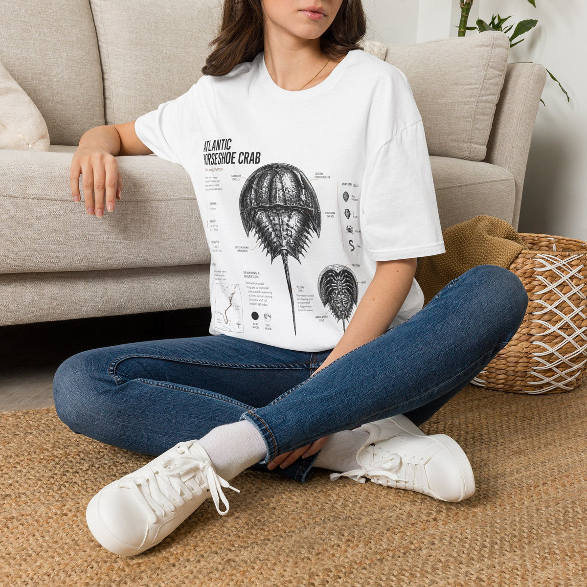 Horseshoe Crab Anatomy T-Shirt — Atlantic Horseshoe Crab Illustration