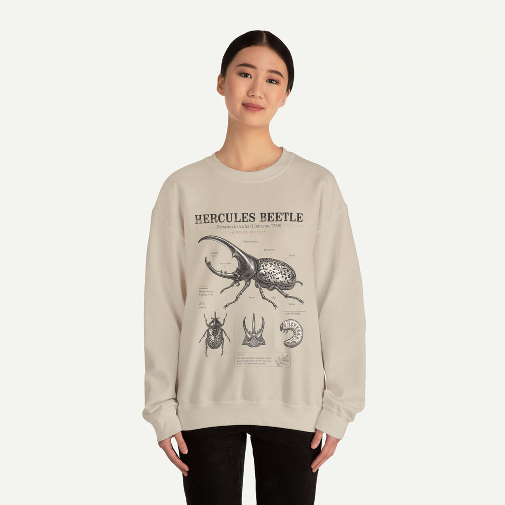 Hercules Beetle Anatomy  Crewneck Sweatshirt – Vintage Entomology Graphic