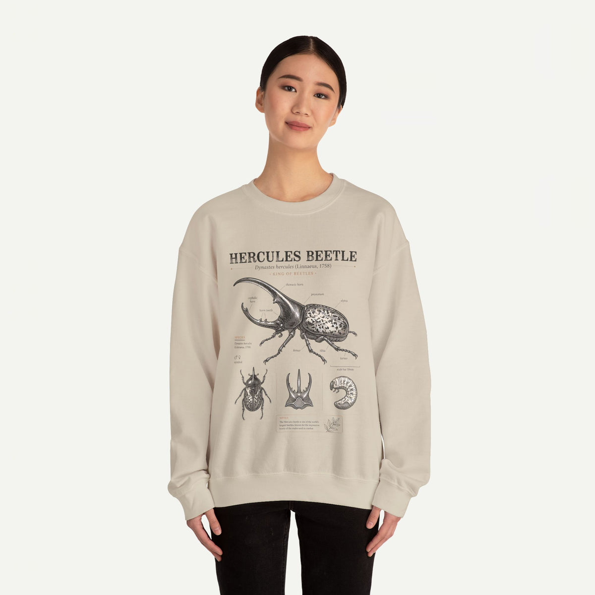 Hercules Beetle Anatomy  Crewneck Sweatshirt – Vintage Entomology Graphic