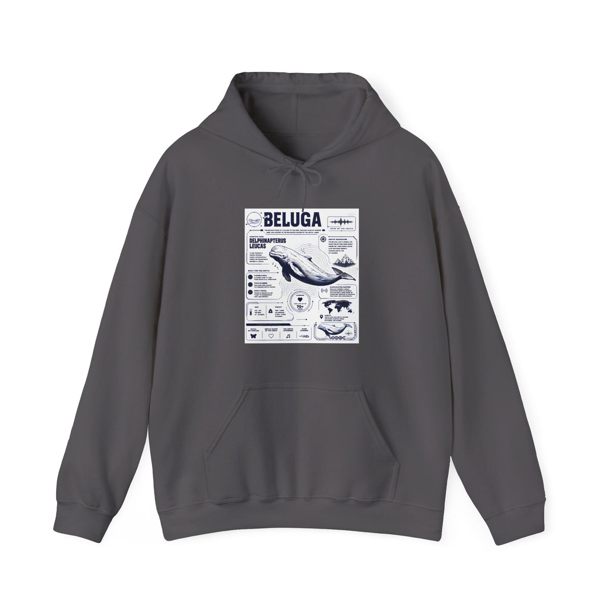 Beluga Whale Graphic Hoodie - Marine Life Diagram Sweatshirt