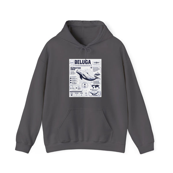Beluga Whale Graphic Hoodie - Marine Life Diagram Sweatshirt