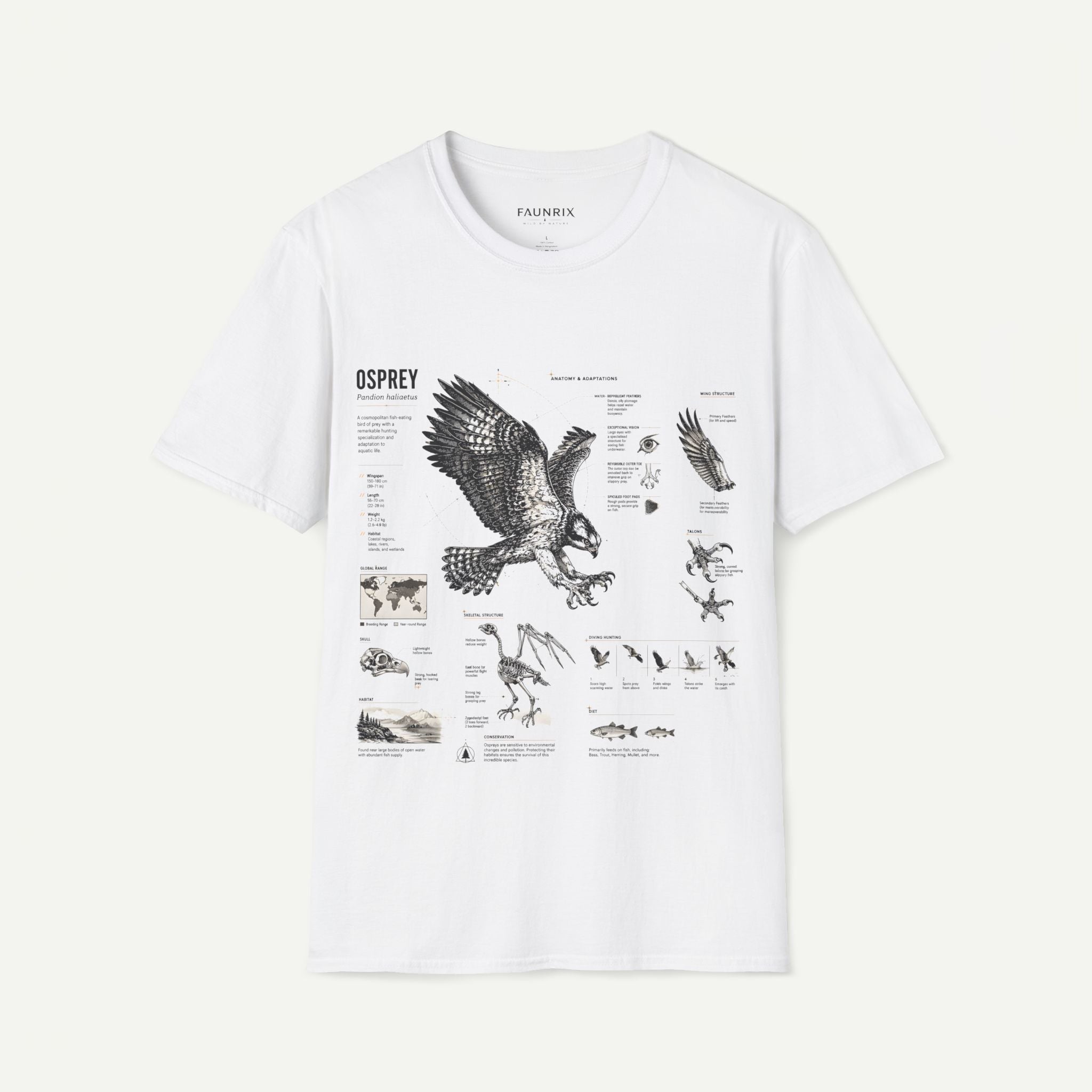 Osprey Anatomy T-Shirt — Vintage Bird Illustration Tee Secondary image