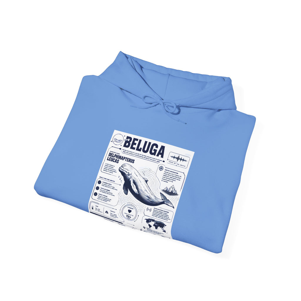 Beluga Whale Graphic Hoodie - Marine Life Diagram Sweatshirt
