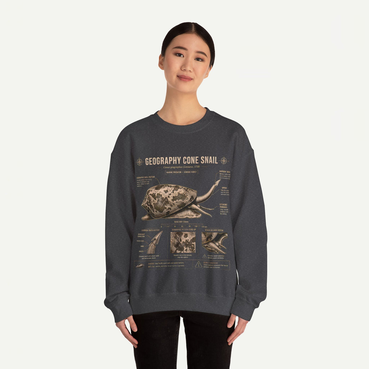 Geography Cone Snail Anatomy Sweatshirt