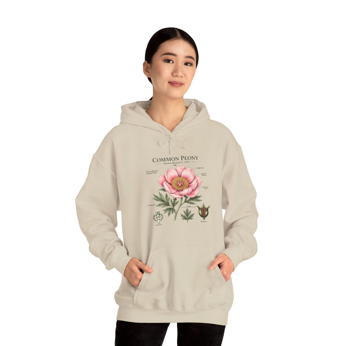 Peony Botanical Hoodie — "Common Peony" Vintage Floral Diagram Sweatshirt