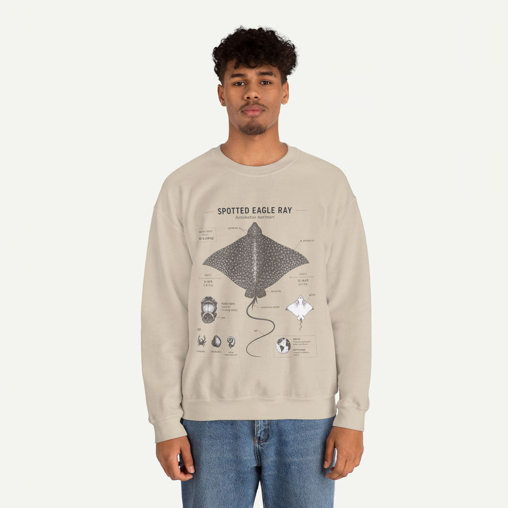 Spotted Eagle Ray Anatomy Sweatshirt – Marine Biology Illustration