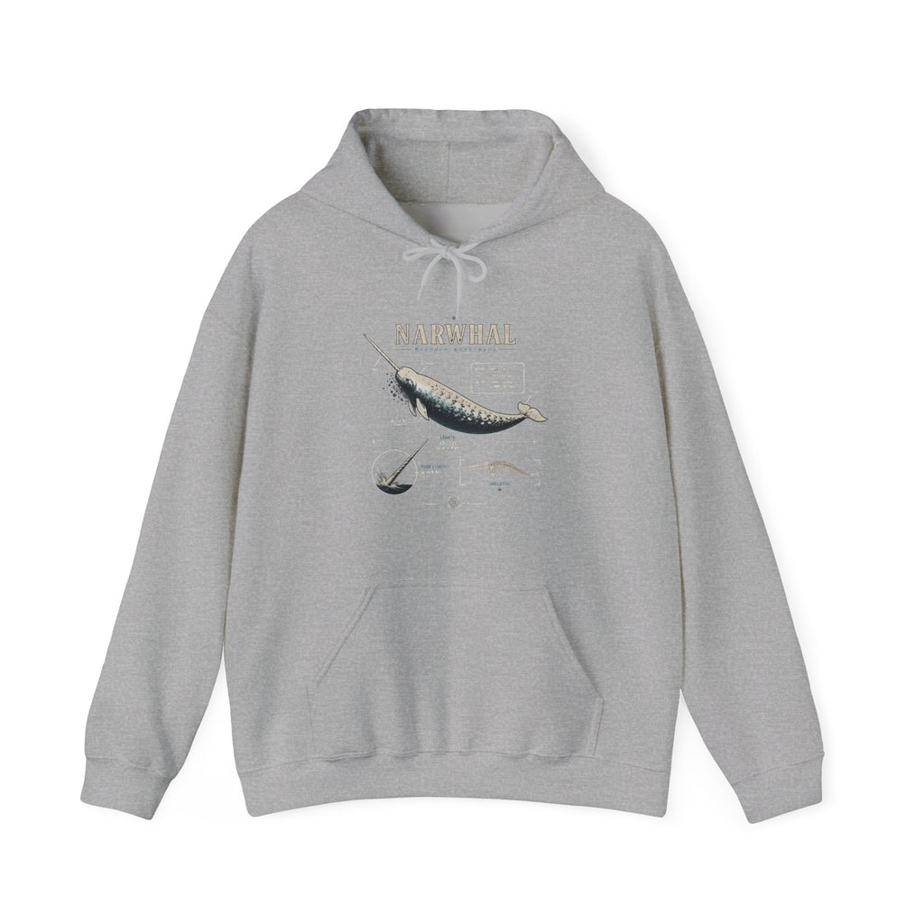 Narwhal Hoodie — Vintage Tailplane Illustration, Aviation Crew Sweatshirt