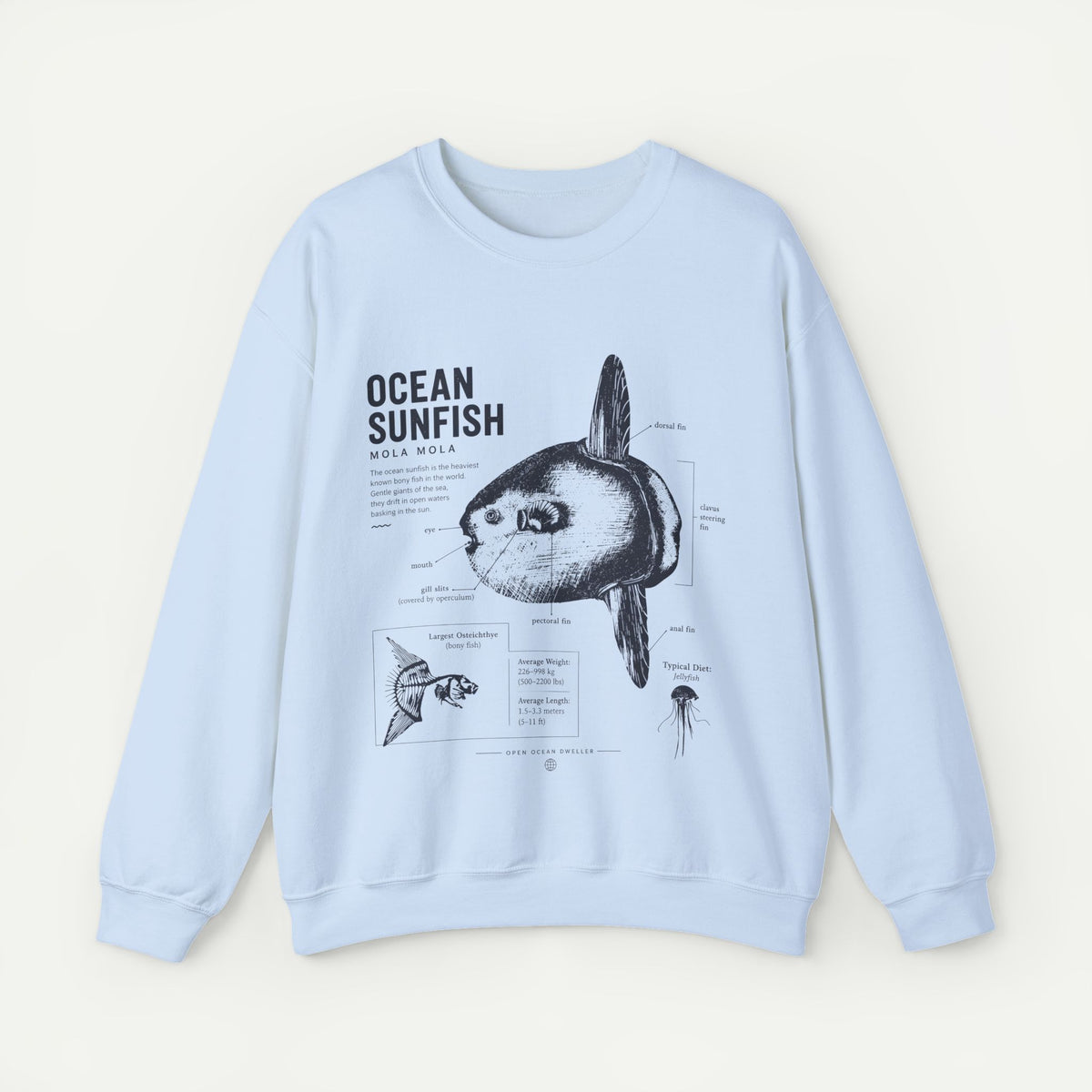 Ocean Sunfish Sweatshirt — Vintage Marine Illustration Pullover Main image