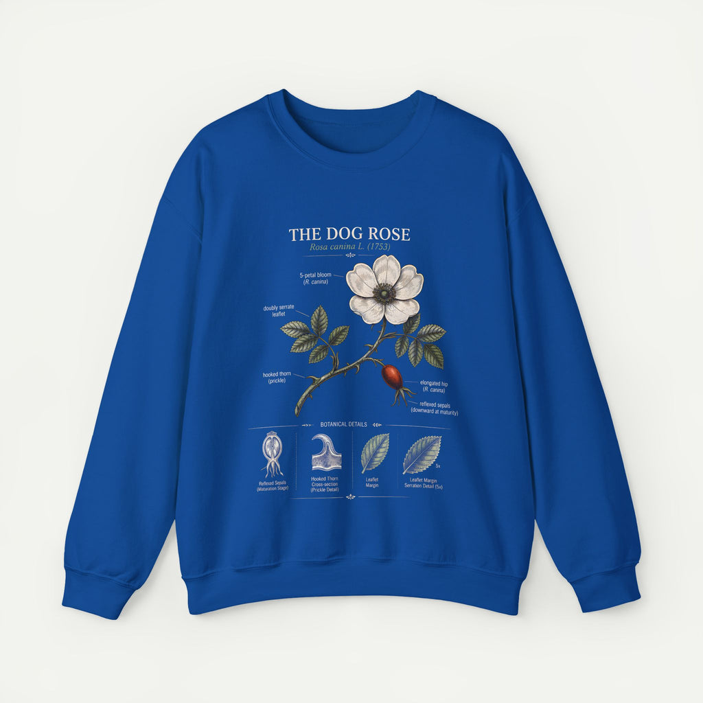 Dog Rose Botanical Sweatshirt — Vintage Floral Anatomy Crewneck